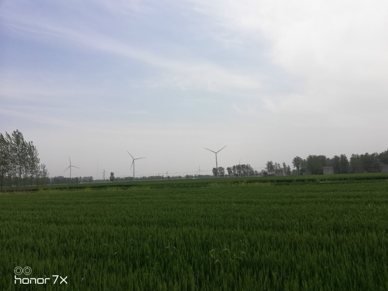 颍电新能源沈丘县颍南风电场项目